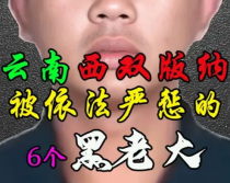 云南西双版纳被依法严惩的6个黑老大
