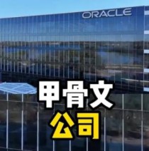 甲骨文这家公司并且很多人不知道他是做什么的