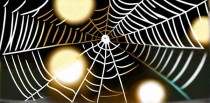 梦见蜘蛛网是什么意思