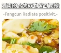 河南美食 万物皆可两掺，五掺，八掺！