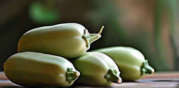 梦见摘丝瓜有什么预兆