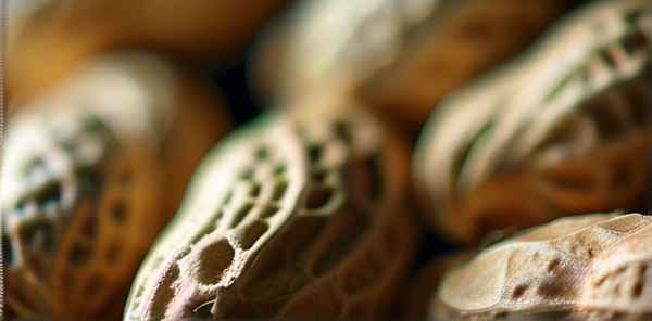 梦见捡花生是什么意思