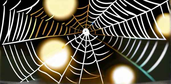 梦见蜘蛛网是什么意思